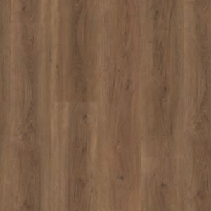 Ambiant Robusto Dryback Warm Brown