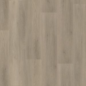 Ambiant Sentima Dryback Smoky