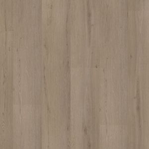 Ambiant Venera Dryback Smoky