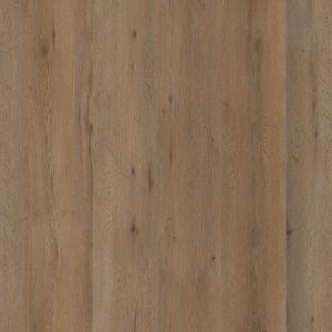 Ambiant Vivero Dryback Smoky