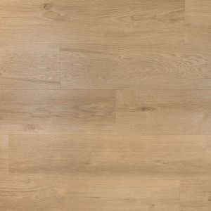 Douwes Dekker Ambitieus Klik Riante Plank Gemberkoek 04867