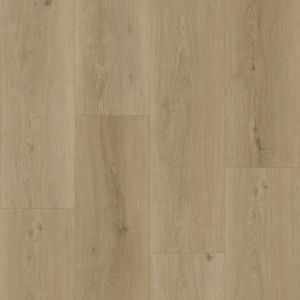 Bodiax BP500 Thor 532 Sage