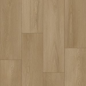 Bodiax BP500 Thor 536 Soil