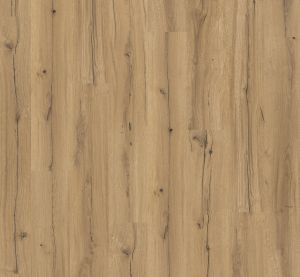 Parador Basic 400 Eiken Chronicle