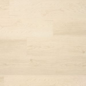 Douwes Dekker Ambitieus Verlijmd Riante Plank Peperkoek 04730