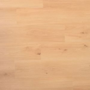 Douwes Dekker Spontaan Plank Dragon 04952